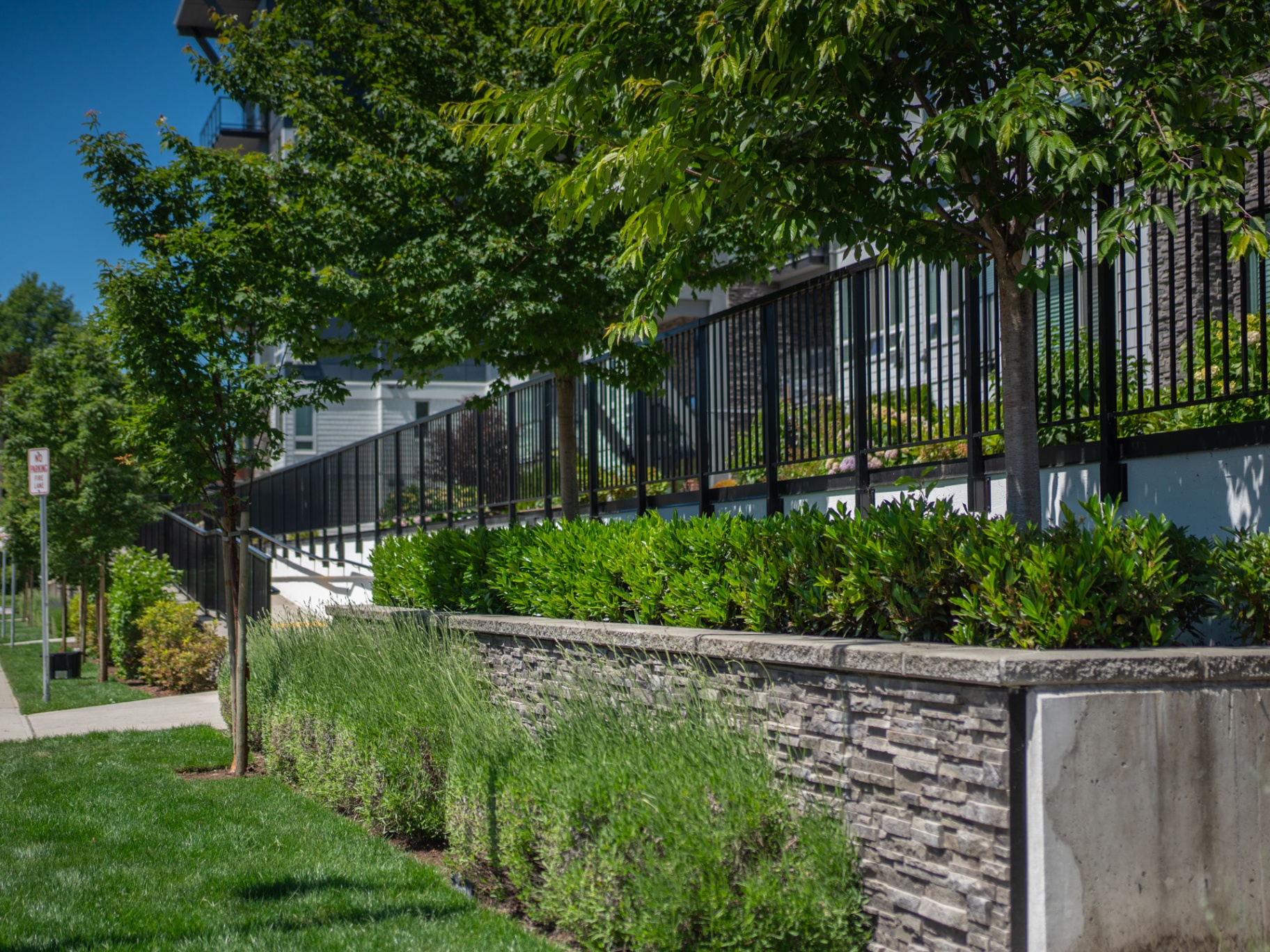 Street level landscaping along a Richlane project
