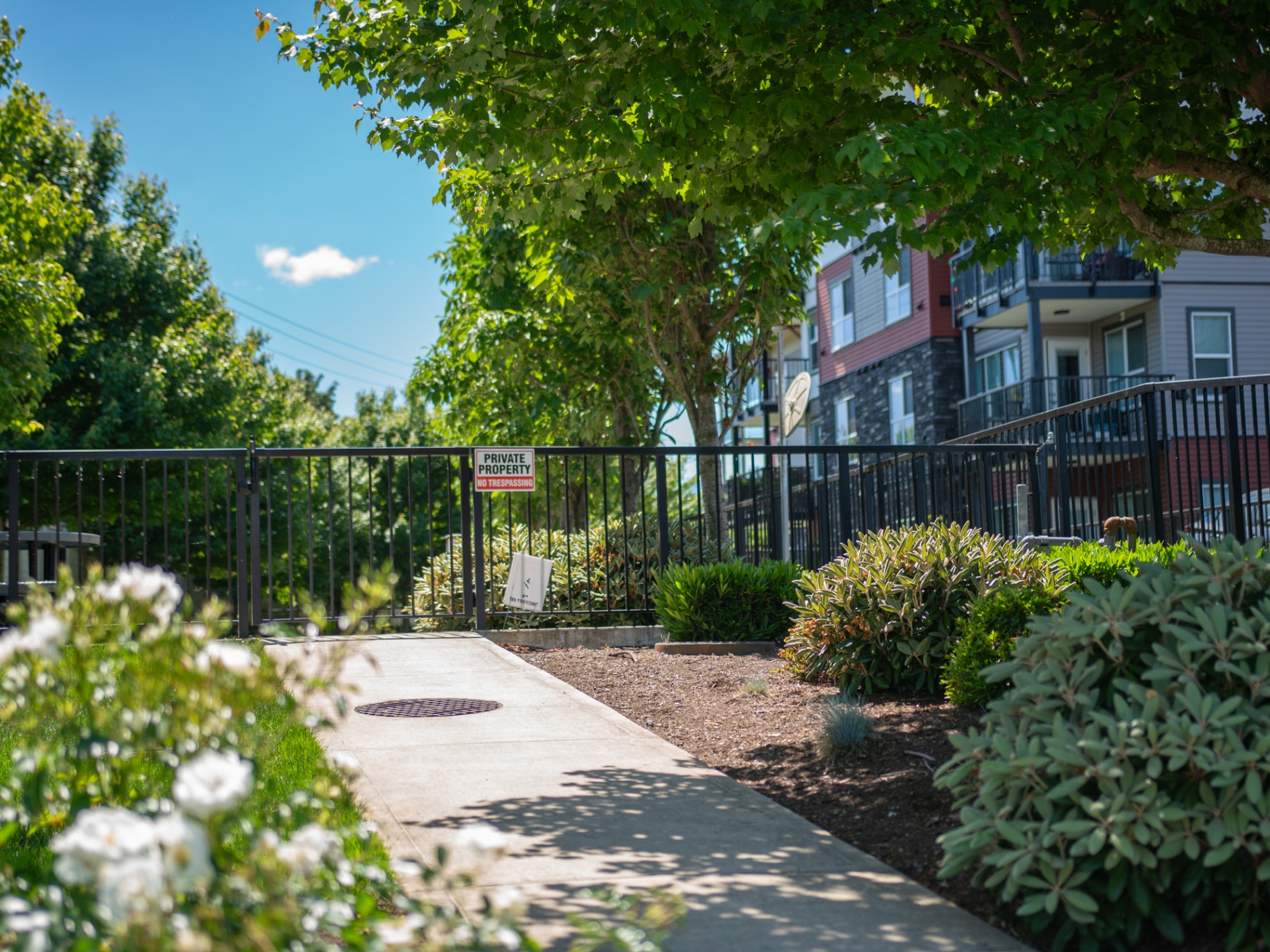 Landscaped walkway beside a Richlane built community